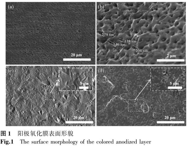 鈦及鈦合金外科植入物陽極氧化表面形貌及元素含量分布研究