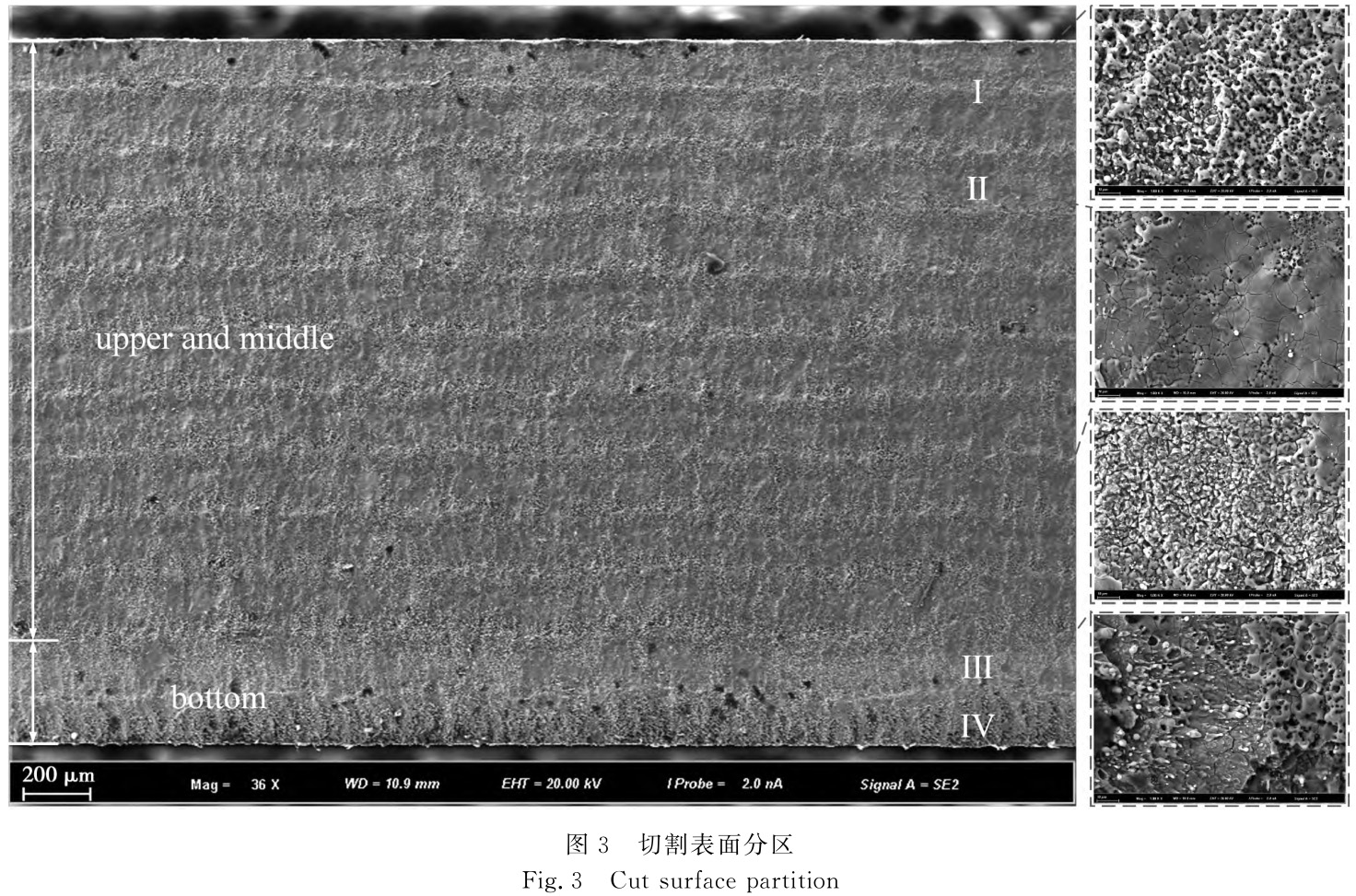 水導激光切割TC4鈦合金板表面形貌特征分析