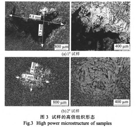 試樣的高倍組織形態