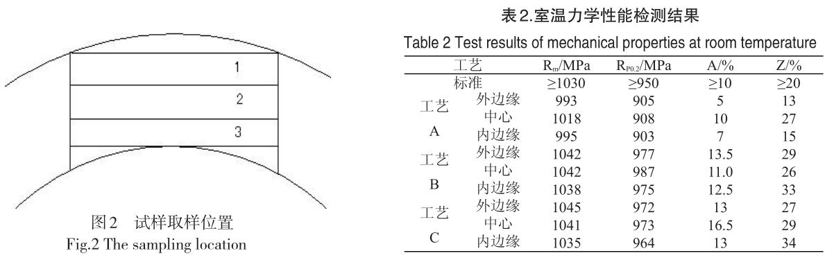 t2-b2.jpg