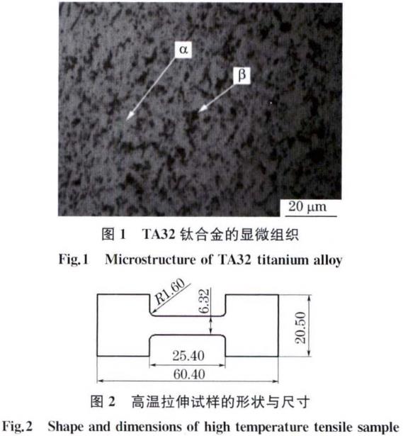 t1-2.jpg