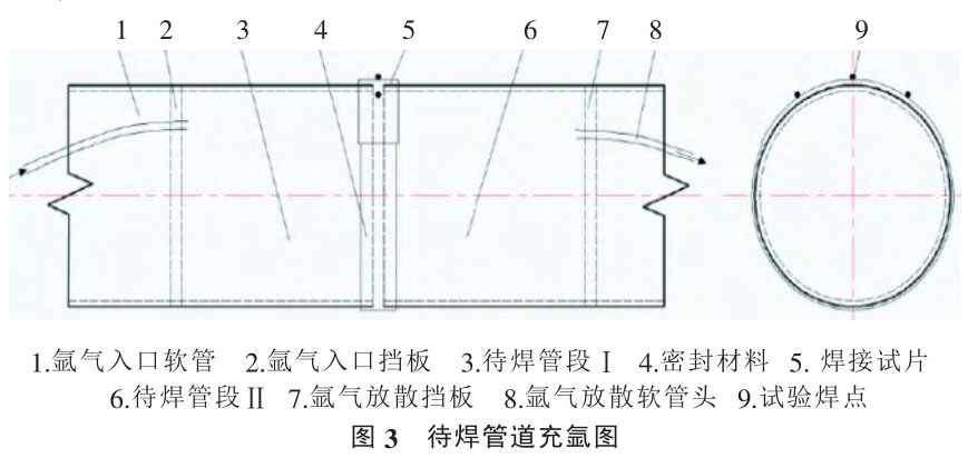 t3.jpg