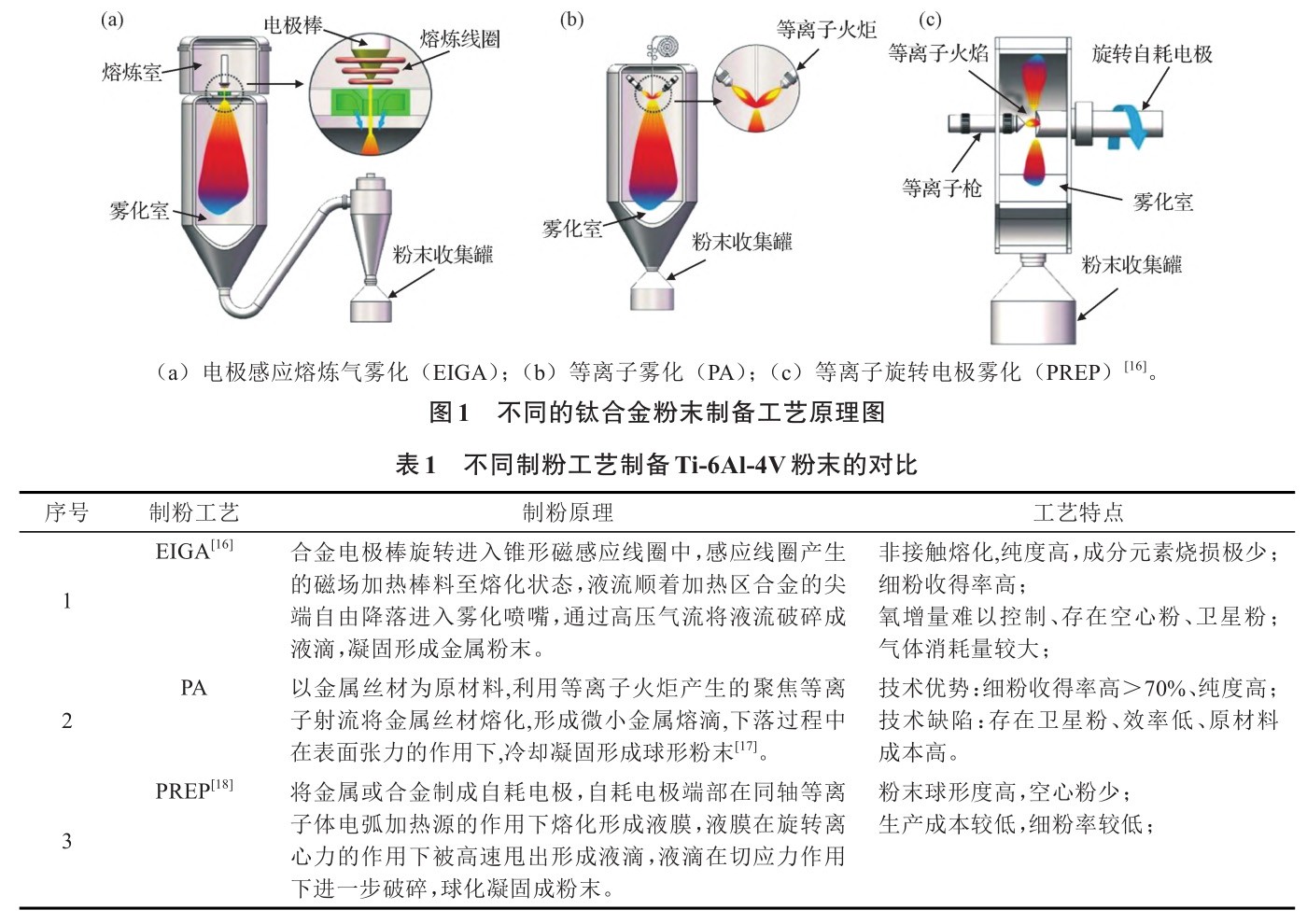 t1-b1.jpg